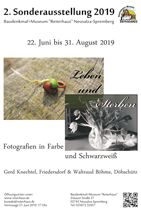 139. Sonderausstellung
